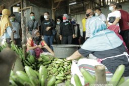 Tim Kementerian kunjungi empat sektor industri di Lumajang