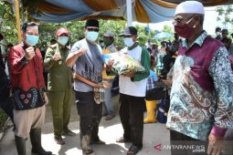 Gubernur Kalsel bersyukur produktivitas padi tetap terjaga