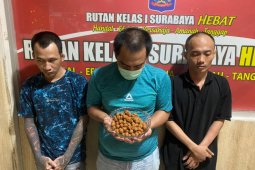 Petugas Rutan Medaeng gagalkan penyelundupan pil koplo dalam bumbu pecel