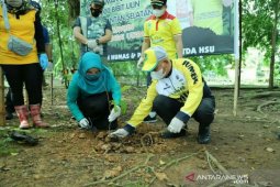 Ten thousand ironwood planted to green South Kalimantan