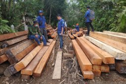 Polisi belum tetapkan tersangka kasus dugaan ilegal logging Kapuas Hulu