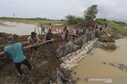 Penanganan tanggul jebol di Indramayu