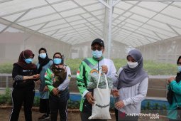 Wawako Jambi apresiasi kebun sayuran hidroponik binaan Pertamina EP