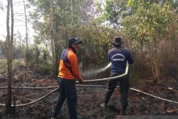 BPBD Kubu Raya intensifkan patroli cegah kebakaran hutan-lahan