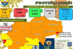 Tambahan pasien positif COVID-19 di Jambi terbanyak 15-43 tahun