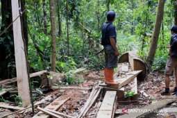 DPRD HST : Jangan sampai polisi kehutanan terkesan terlibat ilegal logging
