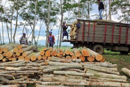 Target Produksi Kayu Bulat Jatim