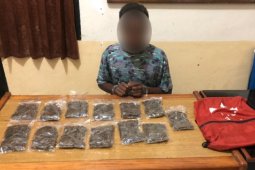 Polisi tangkap remaja 14 tahun terkait ganja