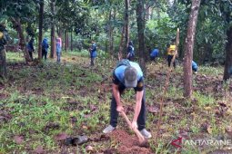 KPH motivasi masyarakat dan ASN tanam pohon