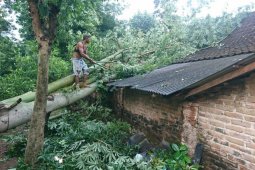BPBD Kediri data rumah rusak diterjang angin kencang