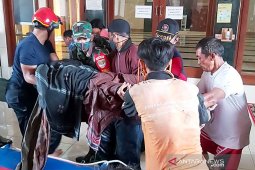 Jakarta floods claim five lives : disaster mitigation office