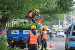 PLN terjunkan 316 petugas "Gerebek Penyulang" hadapi anomali cuaca
