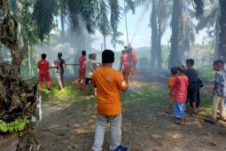 Lahan kelapa sawit terbakar, pemadaman terkendala gambut