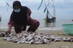 Wisata Belanja Ikan