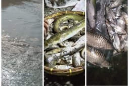 Sungai Wampu diduga tercemar limbah berbahaya