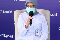 Green zones on rise post micro-scale social restrictions: ministry