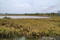 BMKG: Waspada potensi banjir  di sejumlah daerah