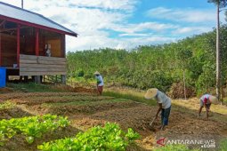 Jambi bisa menjadi percontohan kehutanan sosial