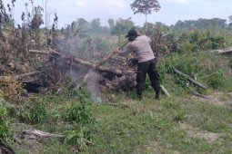 Kebakaran lahan  di Simpang Terusan, polisi dan tim penanganan  Karhutla  padamkan api