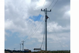 PLN pastikan pasokan listrik Food Estate di Sumut Terpenuhi