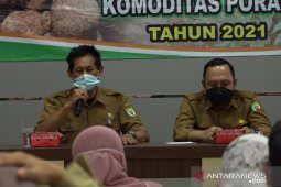 Tanaman porang dari Balangan tembus pasar internasional