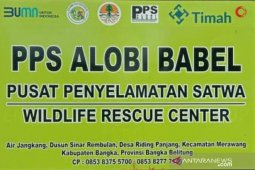 2,5 Tahun Berdiri, PPS ALOBI Air Jangkang Tangani 666 Satwa