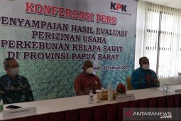 Papua Barat evaluasi izin perkebunan kelapa sawit