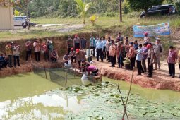 Bupati Bangka tebar 10 ribu benih ikan nila untuk ketahanan pangan