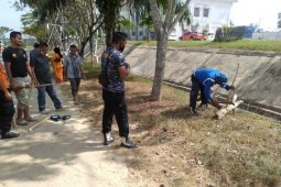 Peringati HPSN, ini dilakukan ASN Aceh Timur