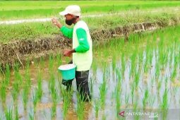 PT PIM siapkan produksi pupuk urea subsidi 460,4 ribu ton