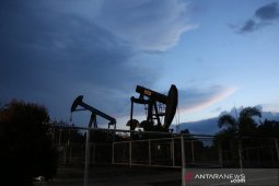 Menurunnya harga minyak dunia jadi tantangan Pertamina EP Jambi