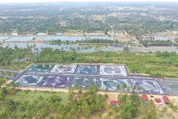 KKP sebut Aceh Timur cocok untuk pengembangan tambak udang