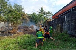 BPKS Singkawang berjibaku padamkan kebakaran lahan