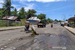 Warga Bengkulu tanam pohon di jalan rusak