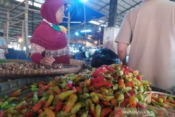 Harga cabai rawit domba di Cianjur diperkirakan bertahan tinggi hingga Lebaran