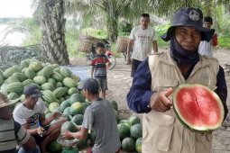 BBKSDA  Sumut selaraskan konservasi dan peningkatan kesejahteraan warga