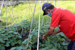 TMMD Kodim 1206/PSB wujudkan masyarakat produktif dan aman dari COVID-19