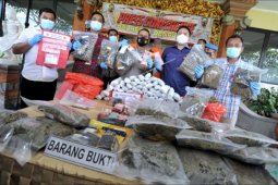 Kasus peredaran narkoba Sumatera-Bali