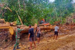 Jembatan darurat dukung pendistribusian material pembangunan jalan