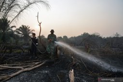 BMKG "warning" daerah rawan karhutla pasca musim pancaroba, termasuk  Jambi