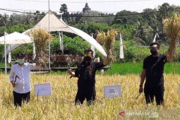 Mentan: Konsep Svarga Bumi Borobudur bisa dikembangkan di daerah lain