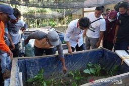 Anggota DPRD Kalsel: budidaya "walut" miliki peluang pasar baik