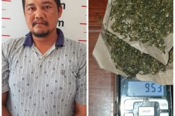 Polsek Pangkalan Susu tangkap Dedi pemilik ganja