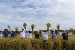 TaniFund bermitra dengan AGRO luncurkan pendanaan usaha mikro