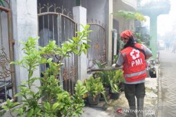PMI Tangerang lakukan penyuluhan-penyemprotan cegah wabah DBD