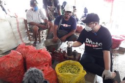Bupati Kediri pantau harga cabai di Pasar Induk Pare