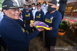 Bupati Donggala  minta petani tingkatkan manajemen bertani