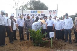 Kabupaten Bangka Tengah jadi percontohan program peremajaan kelapa sawit