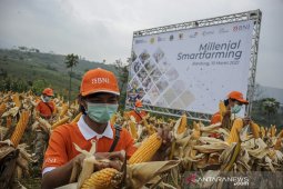 Peluncuran program millenial smarfarming