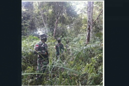 Perketat pengawasan jalan "tikus" batas RI-Malaysia wilayah Kapuas Hulu